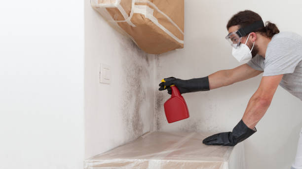 Professional Mold Removal technician working in Belmont, NC